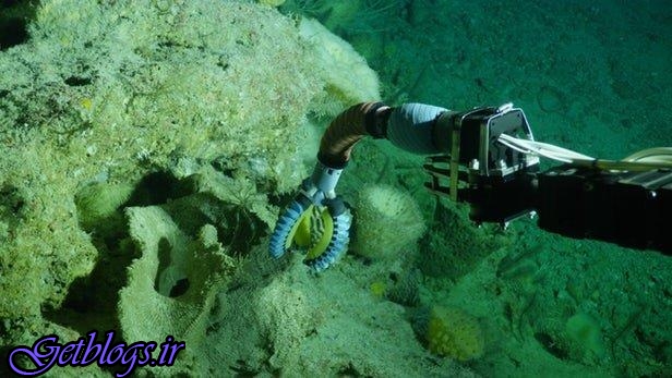 ابداع بازوی رباتیک جهت جستجو در زیر دریا